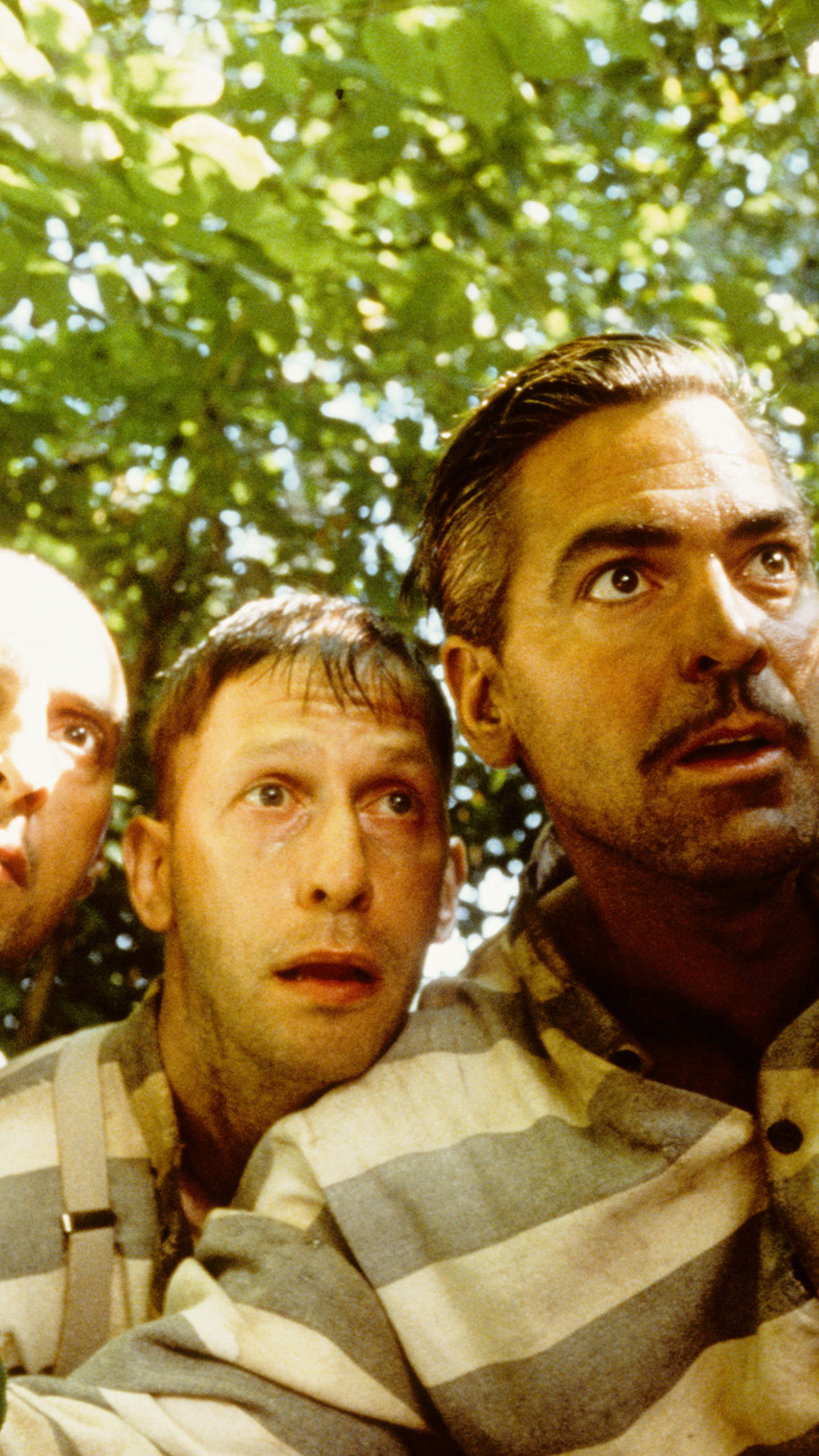 O Brother, Where Art Thou?