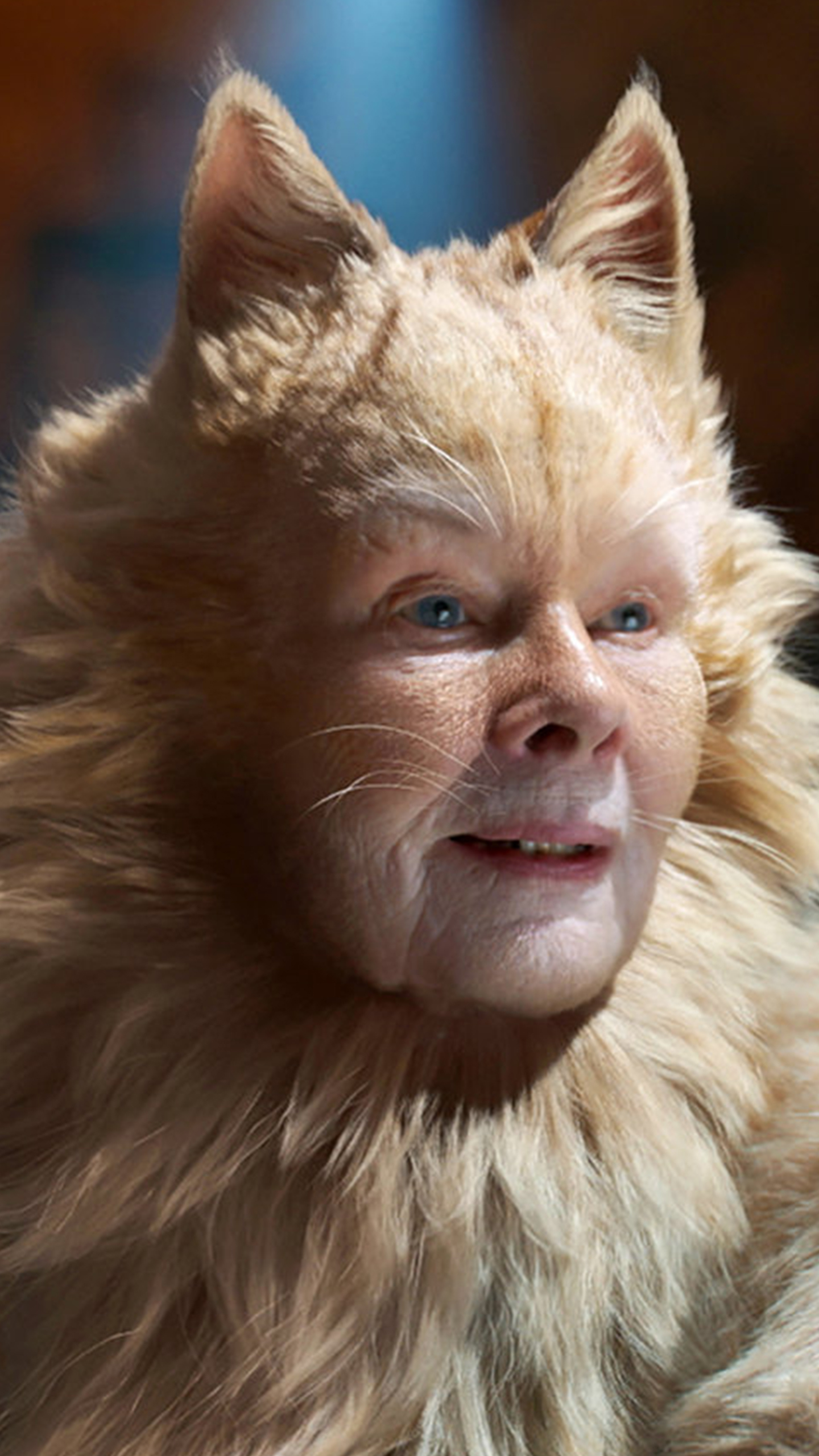 Cats